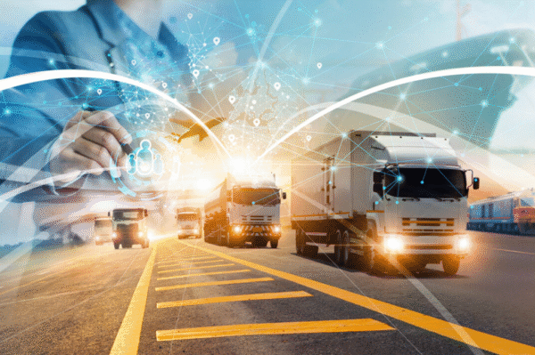 wholesale distribution business-1